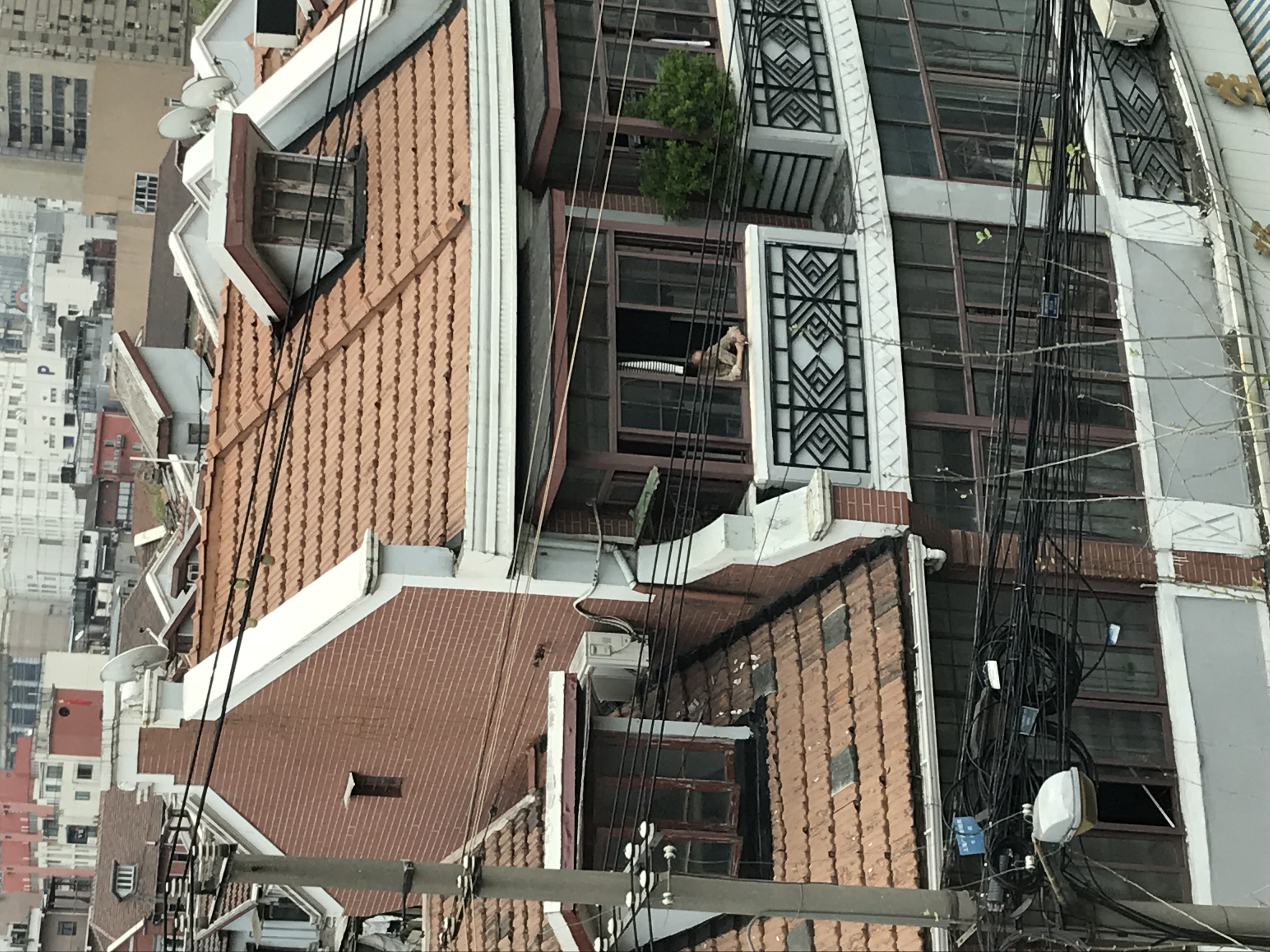 ./2018/03 - Viking China/22 - Shanghai Day 1/IMG_9844.JPG